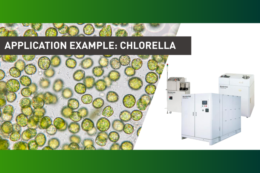Application example to maximize the cell wall disruption and increase bioavailability of chlorella nutritional benefits