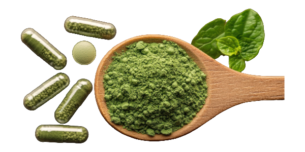 Processing chlorella with Star Burst wet jet milling