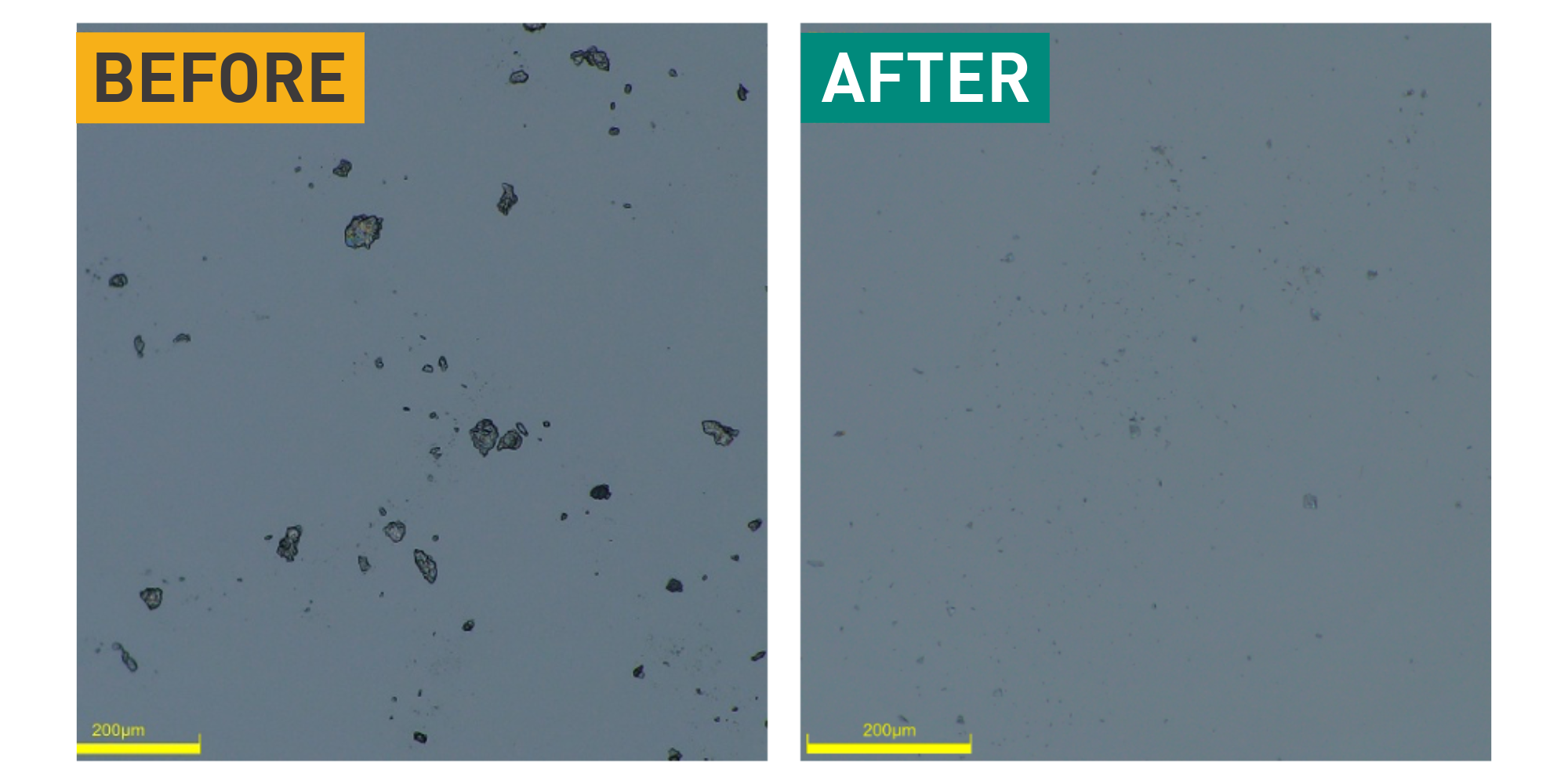 Before and after microscope image of conductive polymer processed with Sugino Star Burst wet jet milling
